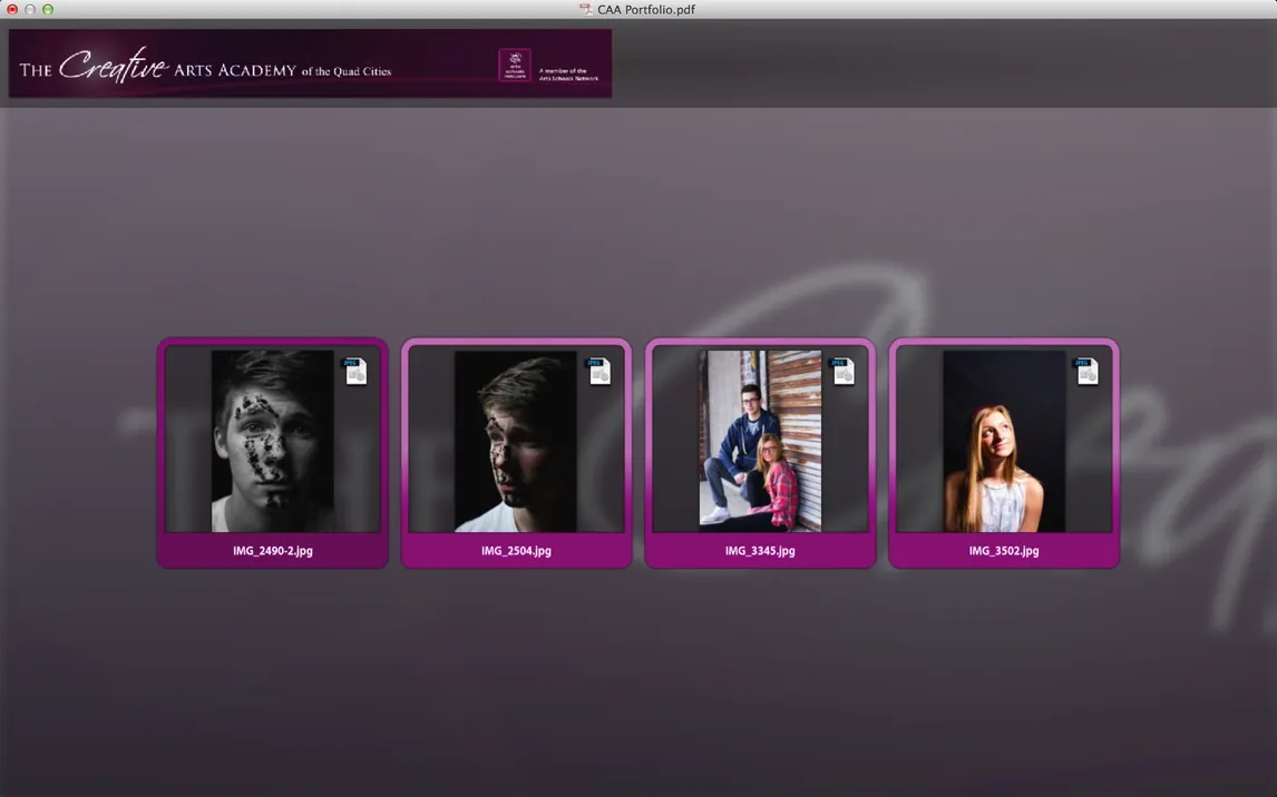 Adobe Acrobat for Portfolios