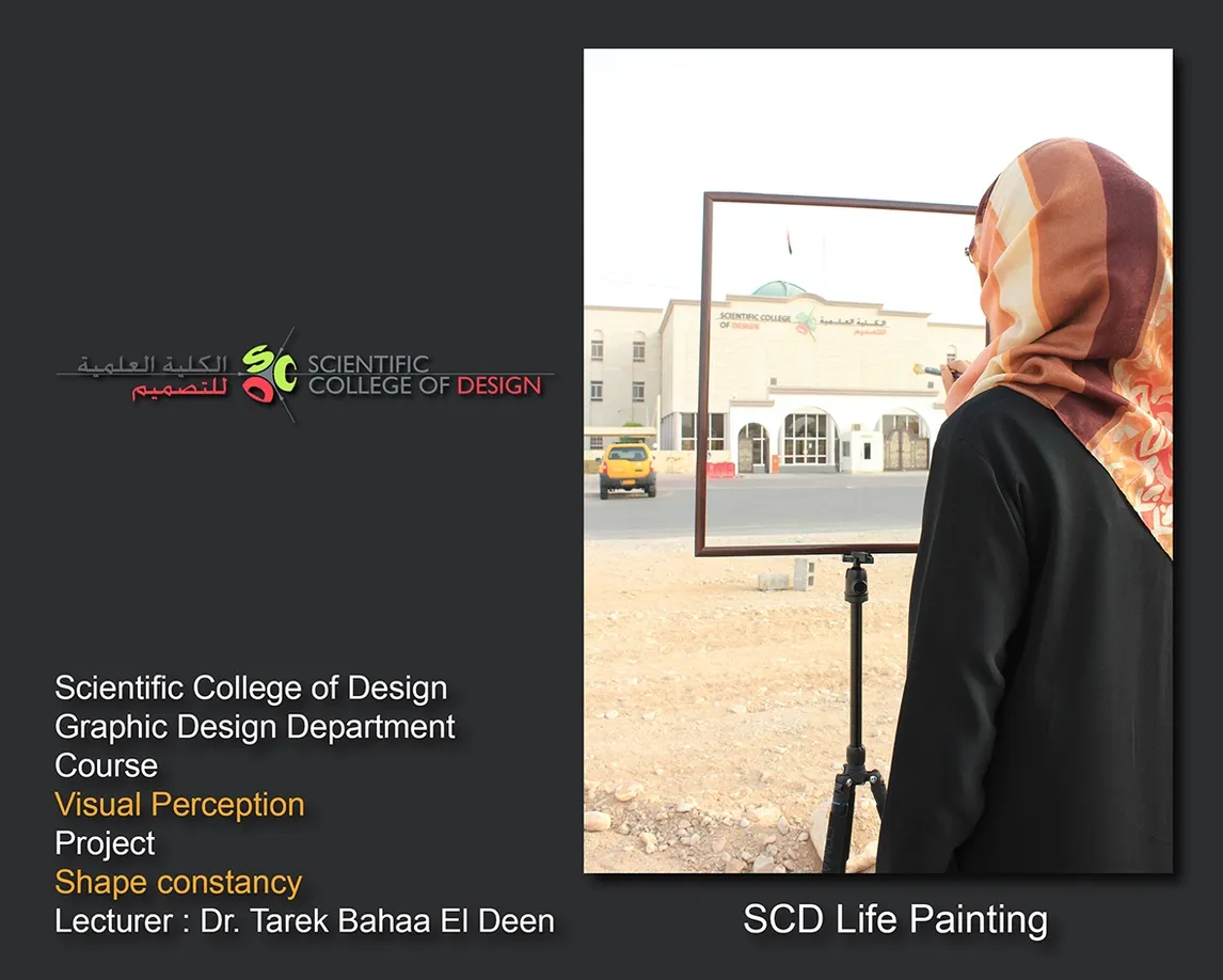 Principles of Visual Perception - Shape Constancy (SCD Life Painting)