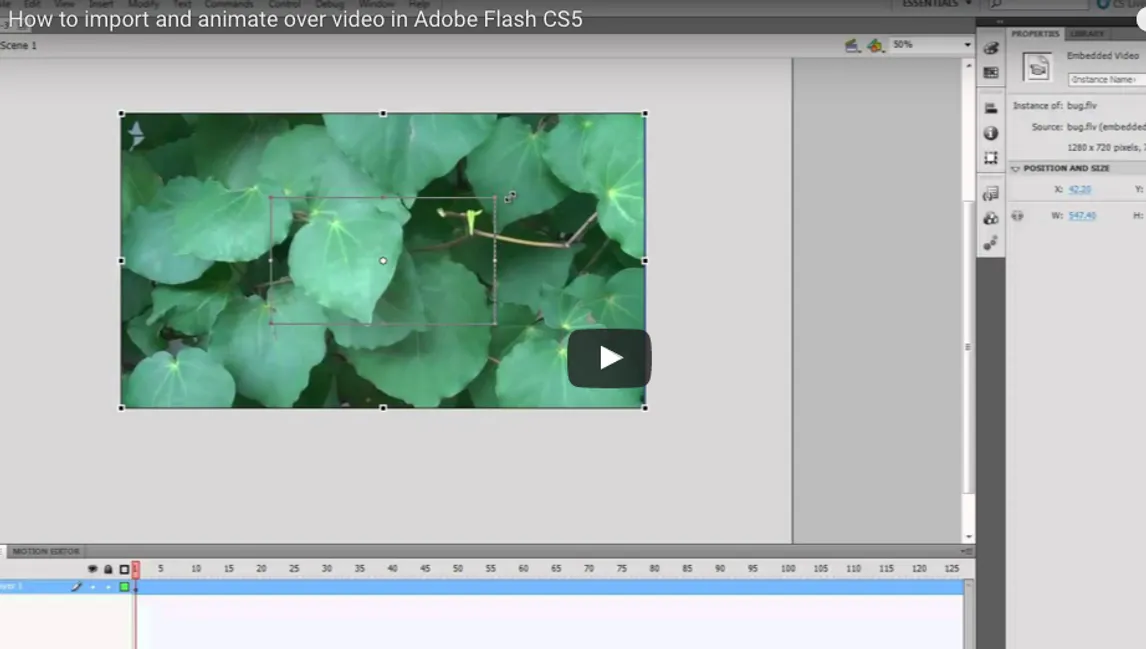 how-to-import-and-animate-over-video-in-adobe-flash-animate-adobe