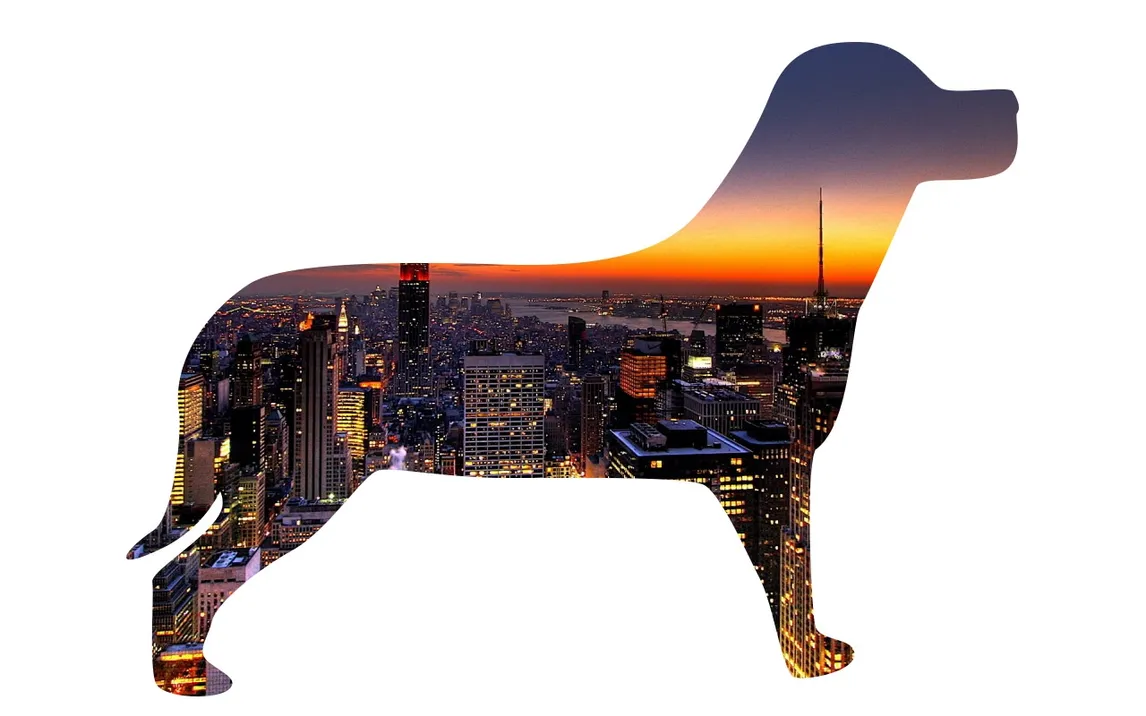 Image as a Shape