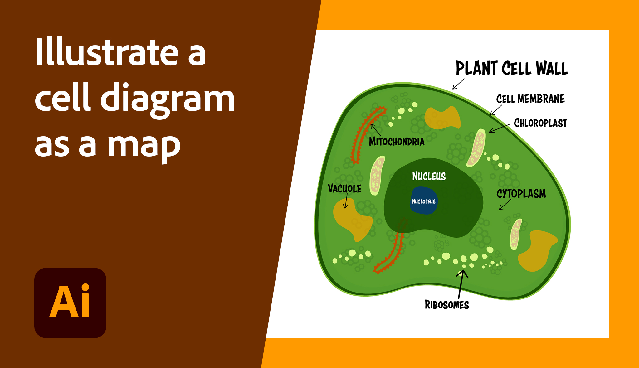 Illustrate a cell diagram as a map | Adobe Education Exchange