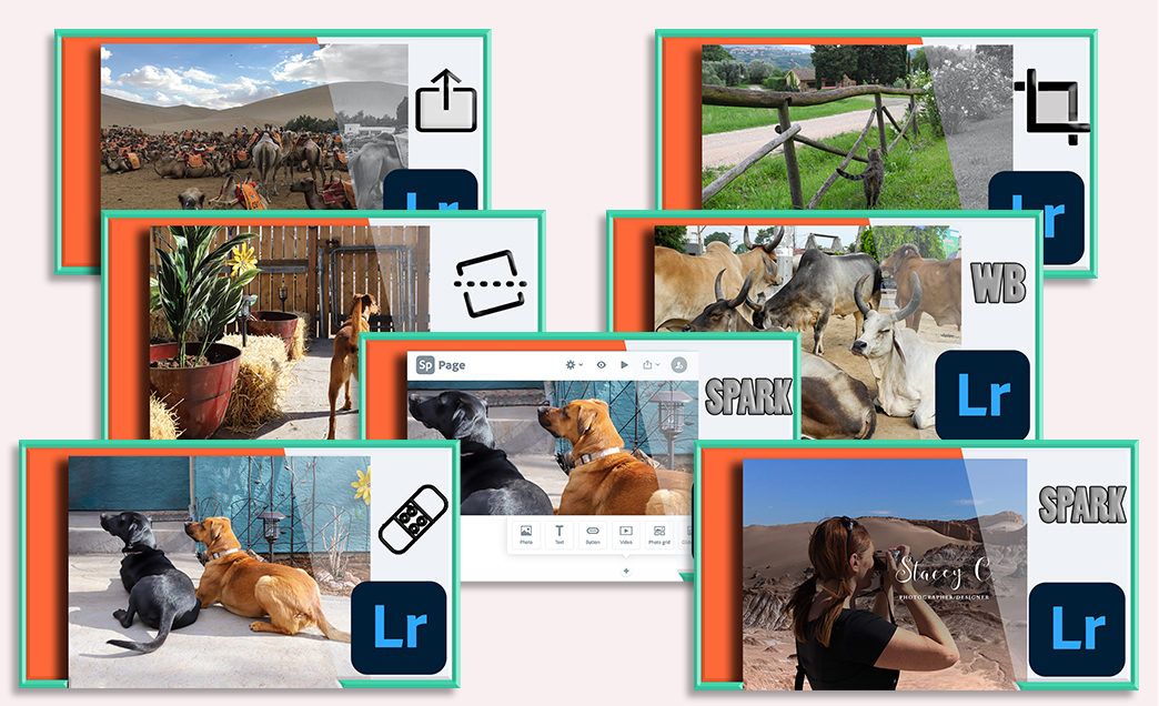 Learn the Basics of Lightroom CC (Desktop, Mobile, Chromebook) Adobe