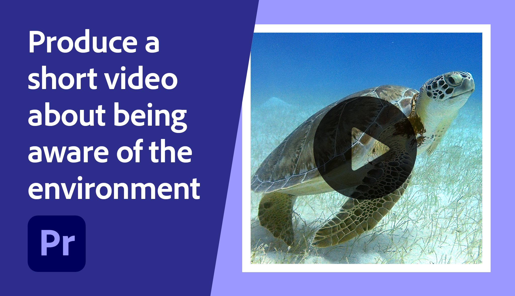 Produce a short video about being aware of the environment | Adobe ...